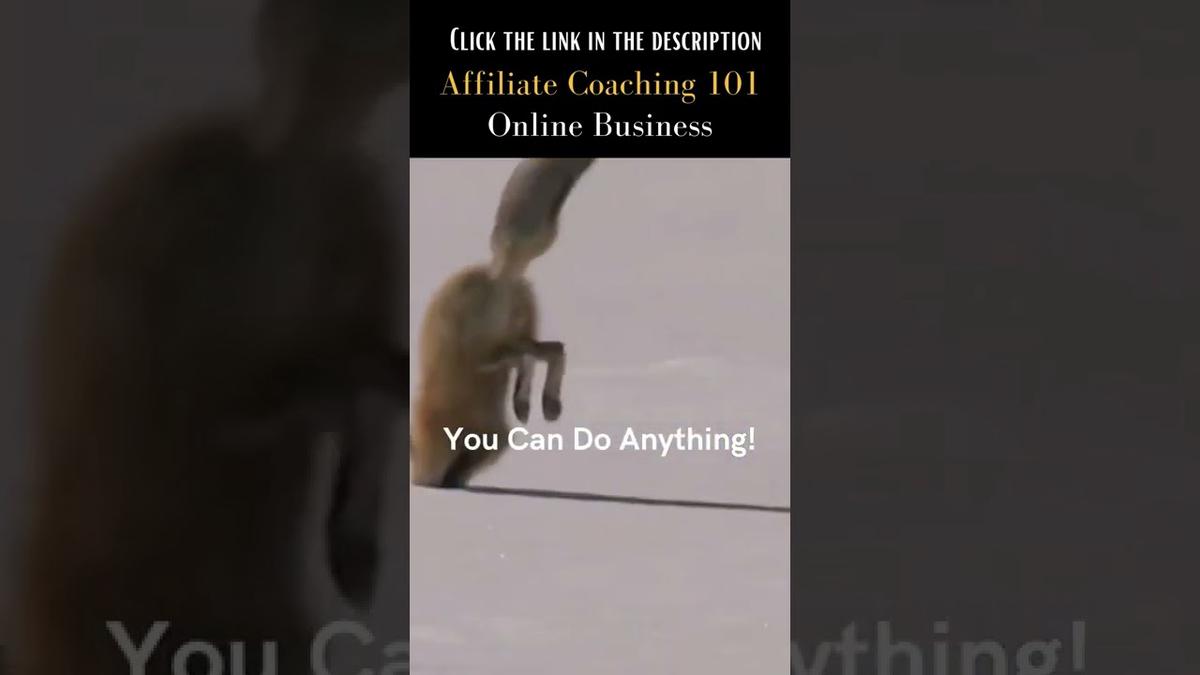 'Video thumbnail for You Can Do Anything 1 #shorts'