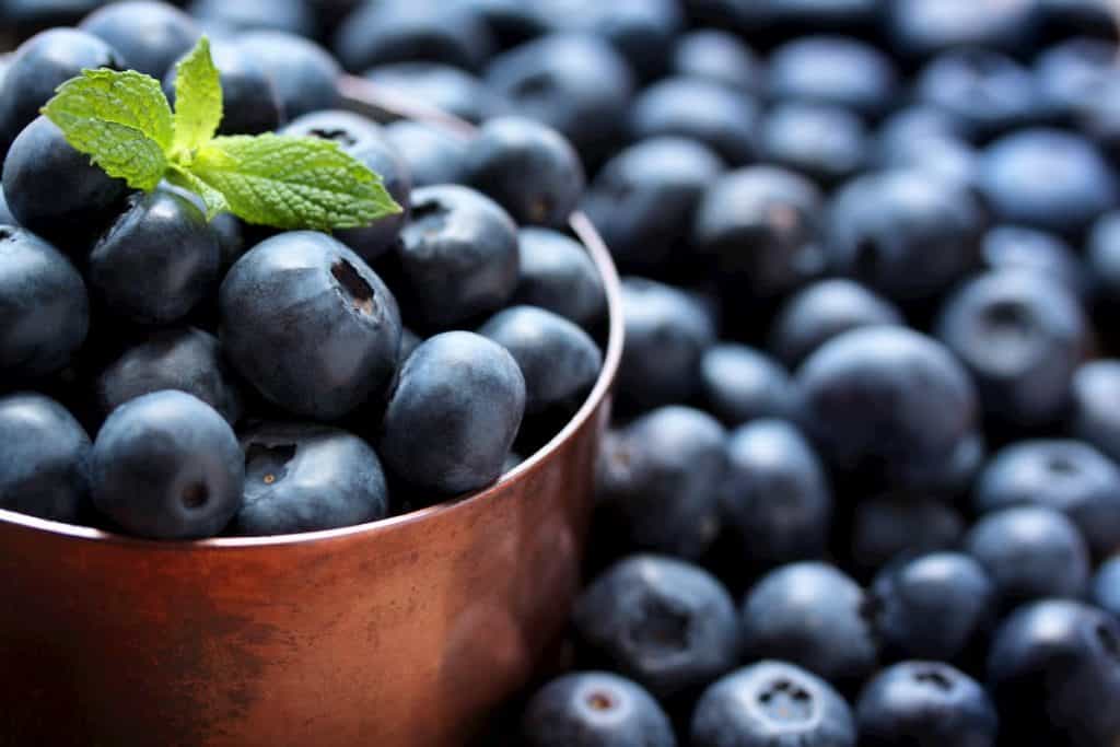 Fresh, ripe blueberries in a copper measuring cup - How Many Carbs Can You Eat and Stay in Ketosis