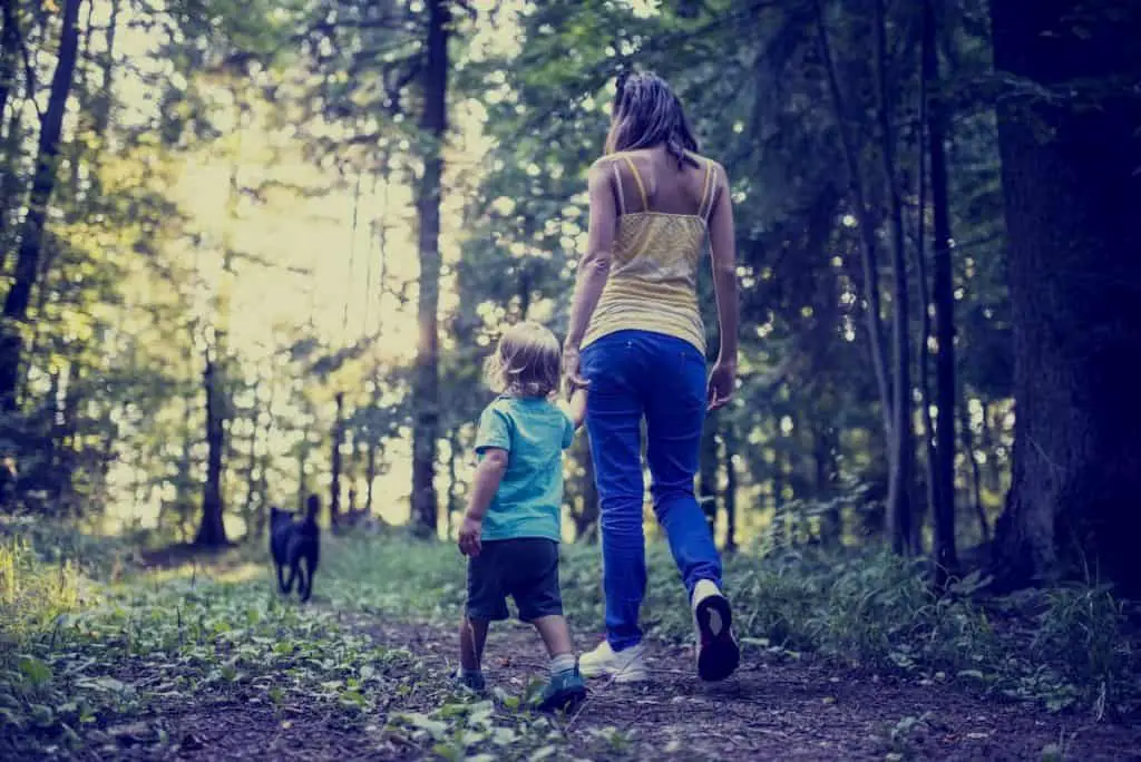 young mother and child walking a dog along a footpath - How Many Carbs Can You Eat and Stay in Ketosis