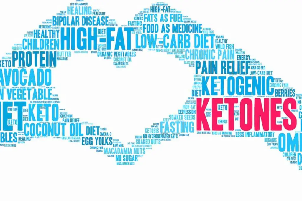 Ketones word cloud - What Are Exogenous Ketones